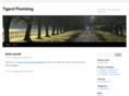 plumbing-tigard.com