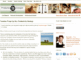 productivelifeconcepts.com