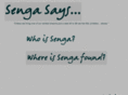 sengasays.net