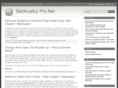 bankruptcy-pro.net