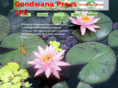 gondwanapress.com
