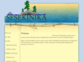 sesekinika.com