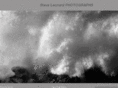 steveleonardphotographs.com
