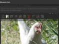biocento.com