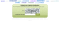 businesssystemsaustralia.com