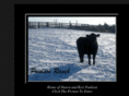paulson-ranch.com