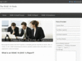 ssae16guide.com