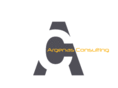 argenasconsulting.com