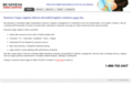businesscargologistics.com
