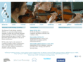 nisastrings.com