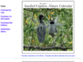 sancapcalendar.com