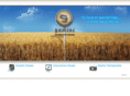 geminiinteractive.com