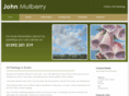 johnmulberry.com