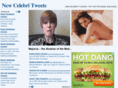 newcelebritweets.com