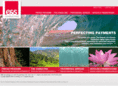 perfectingpayments.com