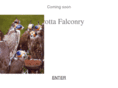 pirrottafalconry.com