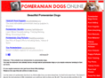 pomeranian-dogs-online.com