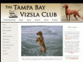 tampabayvizslaclub.com