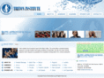tritoninstitute.org