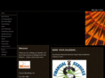 visionsmarketinginc.com