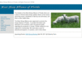 msasheep.com