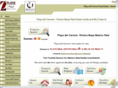 playarealestatemall.com