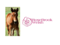 rosebrookwelsh.com