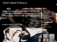 teddybearpitbulls.com
