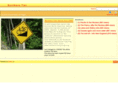thewheelnut.com