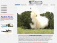 waterheaterblast.com