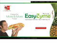 easyzyme.com