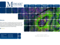 mosaiclabs.com