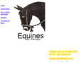 muletrainers.com