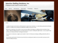 selectivestaffingsolutionsinc.com