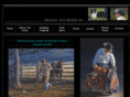 davidgrahamart.com