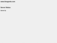 ilmagnete.com