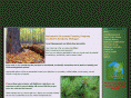 grossmanforestry.com