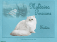 moldaveacattery.com