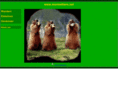 murmeltiere.net