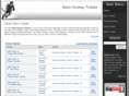 starshockeytickets.com