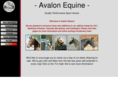 avalonequine.com
