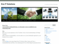 eve-it.com.au