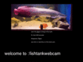 fishtankwebcam.com
