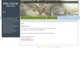 kittycornercatclinic.com