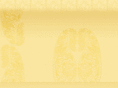 prasannaflute.com
