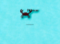 pyncer.com