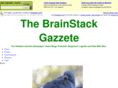 brainstack.com