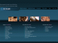 dennisschustermd.com