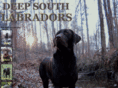 deepsouthlabradors.com