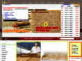 insam09.com